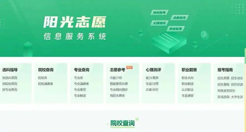 市場的喧囂與考生的心聲 中高考志愿填報咨詢產(chǎn)業(yè)的雙重奏